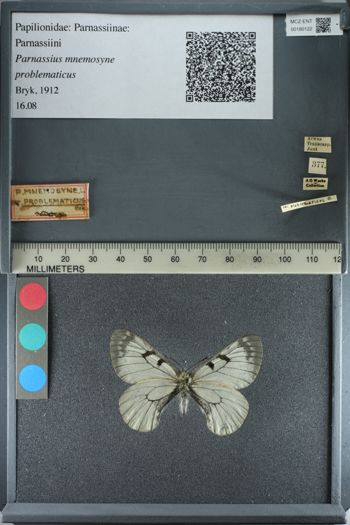 Media type: image;   Entomology 180122